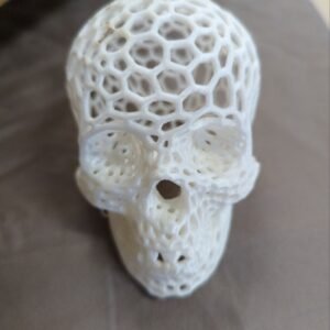 Voronoi Skull